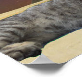 Kat en Sfinx. Poster (Hoek)