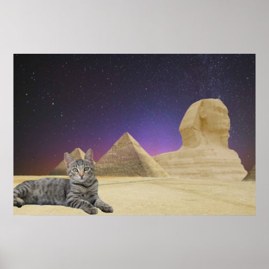 Kat en Sfinx. Poster (Voorkant)