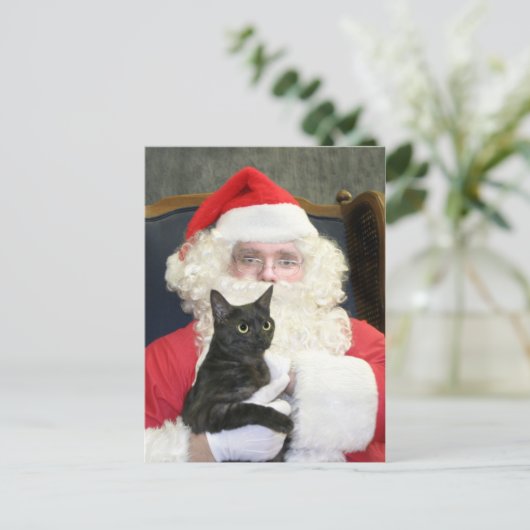 Kat en Sinterklaas Feestdagenkaart (Staand voorkant)