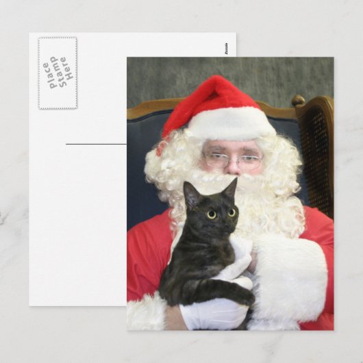 Kat en Sinterklaas Feestdagenkaart (Voorkant / Achterkant)