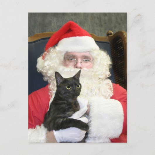 Kat en Sinterklaas Feestdagenkaart (Voorkant)