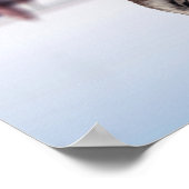 Kat- en tijgerwaterreflectie - Succes, puin Poster (Hoek)