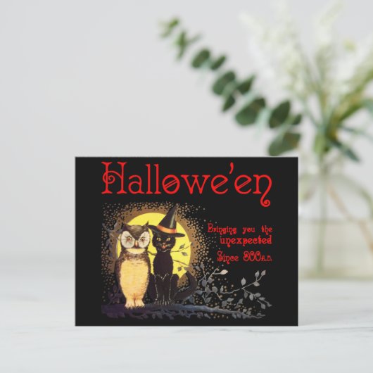 Kat en uil in het  Halloween Briefkaart (Staand voorkant)