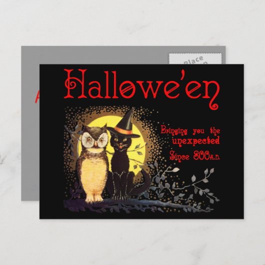 Kat en uil in het  Halloween Briefkaart (Voorkant / Achterkant)