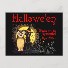 Kat en uil in het Halloween Briefkaart