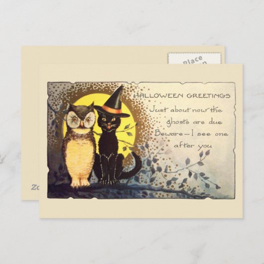 Kat en uil in het Halloween Briefkaart (Voorkant / Achterkant)