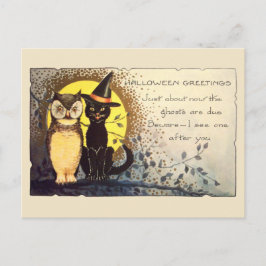 Kat en uil in het Halloween Briefkaart