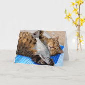Kat en vis Funny Vaderdag Kaart (Gele Bloem)