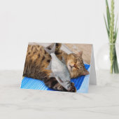 Kat en vis Funny Vaderdag Kaart (Voorkant)