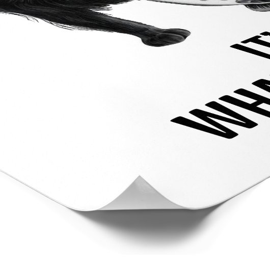 Kat en vis poster (Hoek)