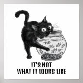 Kat en vis poster (Voorkant)