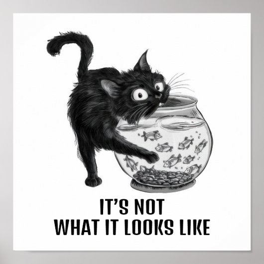 Kat en vis poster (Voorkant)