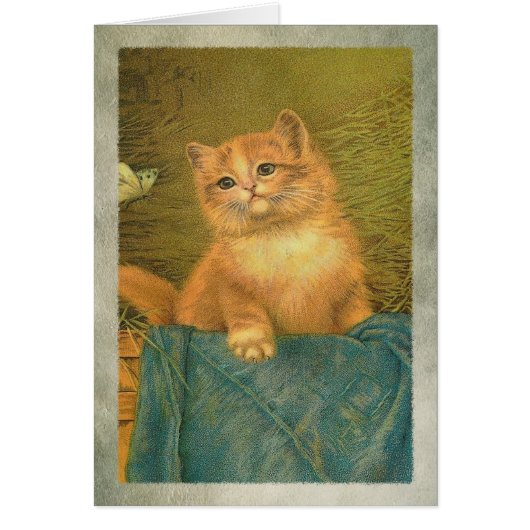 Kat en vlinder (Voorkant)