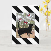 Kat en vlinder zwart, witte gestreepte verjaardag kaart (Gele Bloem)