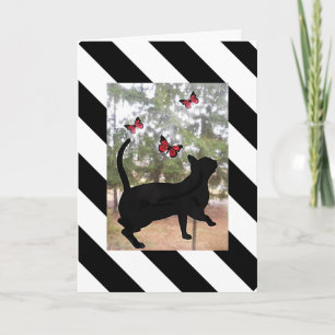 Kat en vlinder zwart, witte gestreepte verjaardag kaart