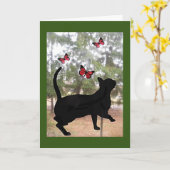 Kat en vlinders, denk aan je kaart (Gele Bloem)