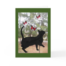 Kat en vlinders, denk aan jou kaart