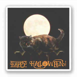Kat en volle maan sticker