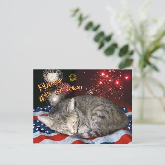 Kat en vuurwerk van 4 juli briefkaart (Staand voorkant)