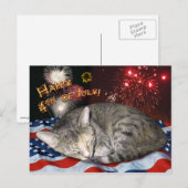 Kat en vuurwerk van 4 juli briefkaart (Voorkant / Achterkant)