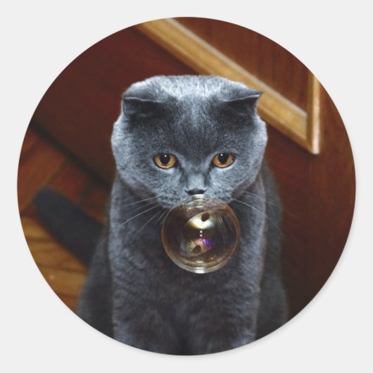 Kat en zeepbel ronde sticker (Voorkant)