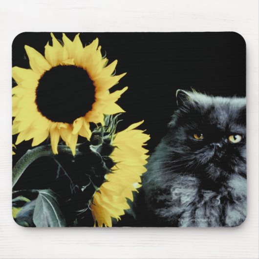 Kat en zonnebloem muismat (Voorkant)