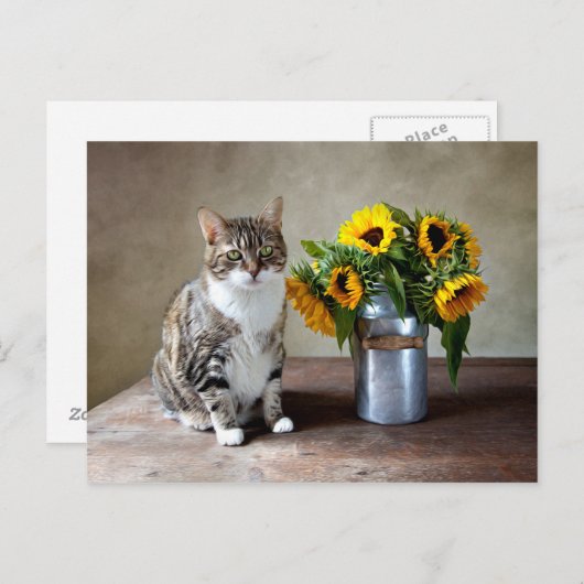 Kat en zonnebloemen briefkaart (Voorkant / Achterkant)