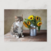 Kat en zonnebloemen briefkaart (Voorkant)