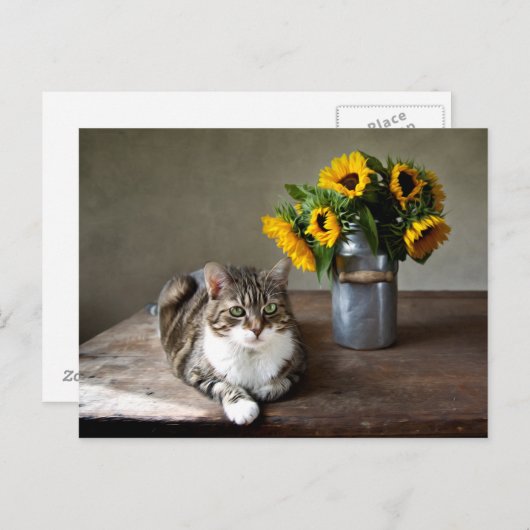 Kat en zonnebloemen briefkaart (Voorkant / Achterkant)