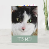 Kat en zwart kaart (Voorkant)