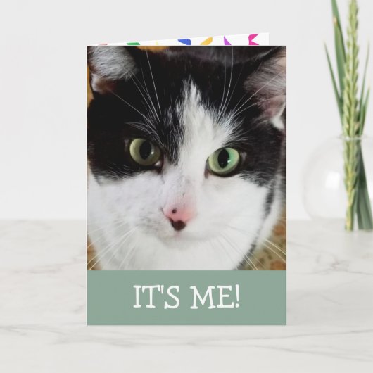 Kat en zwart kaart (Voorkant)