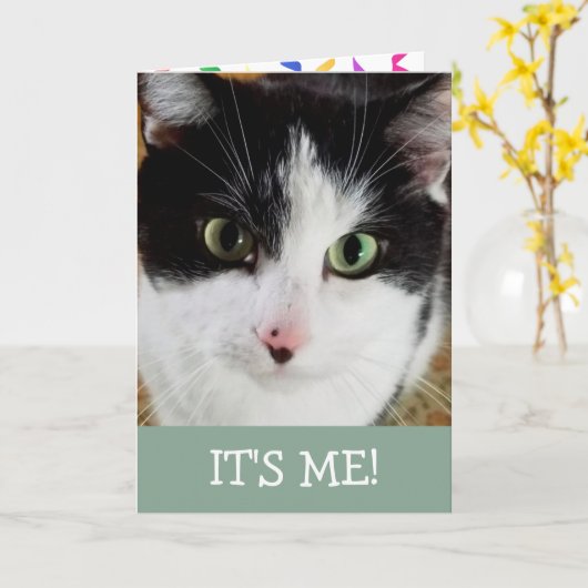 Kat en zwart kaart (Gele Bloem)