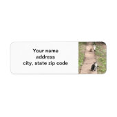 Kat Etiket (Voorkant)