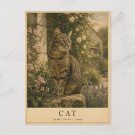 Kat Europese Landtuinen VINTAGE Briefkaart