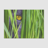 Kat Eye Grass Tissuepapier (Voorkant)