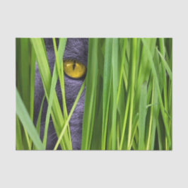 Kat Eye Grass Tissuepapier