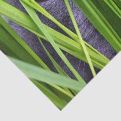 Kat Eye Grass Tissuepapier (Detail)