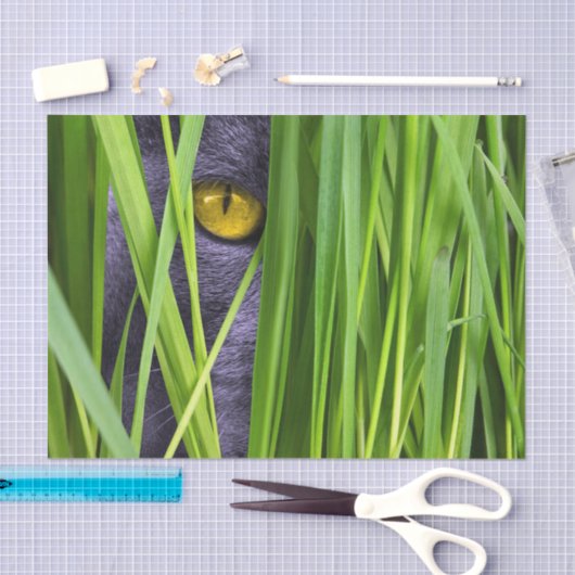 Kat Eye Grass Tissuepapier (Craft)