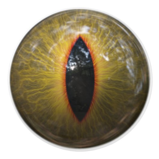 Kat Eye Keramische Knop (Voorkant)
