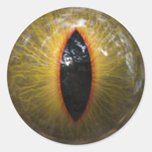 Kat Eye Ronde Sticker