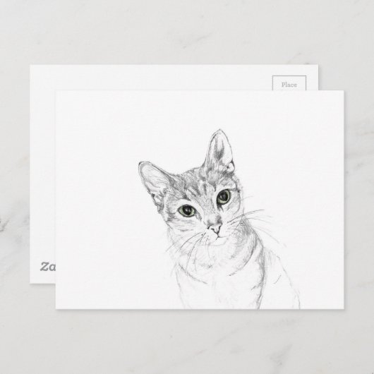 Kat Eyes A potlood Tekening Briefkaart (Voorkant / Achterkant)