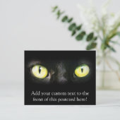 Kat Eyes, Black and Yellow Stare Briefkaart (Staand voorkant)