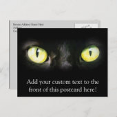 Kat Eyes, Black and Yellow Stare Briefkaart (Voorkant / Achterkant)