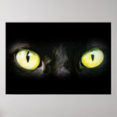Kat Eyes, Black and Yellow Stare Poster (Voorkant)