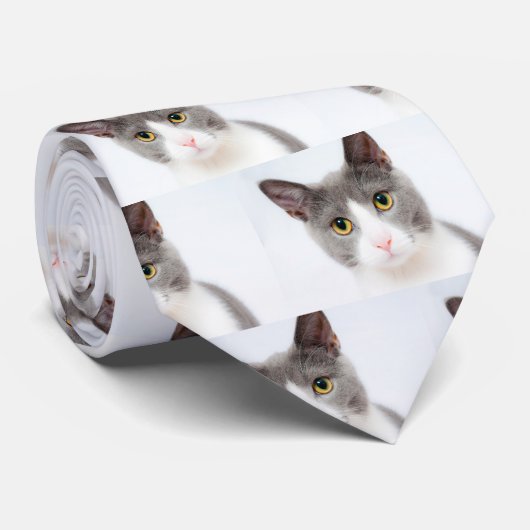 Kat Face 02 Stropdas (Opgerold)