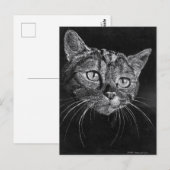 Kat Face Briefkaart (Voorkant / Achterkant)