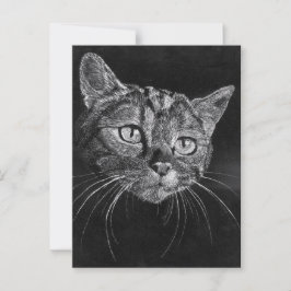 Kat Face Briefkaart