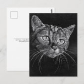 Kat Face Briefkaart (Voorkant / Achterkant)