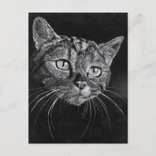 Kat Face Briefkaart (Voorkant)