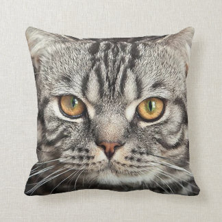 Kat Face Closeup Pillow Kussen